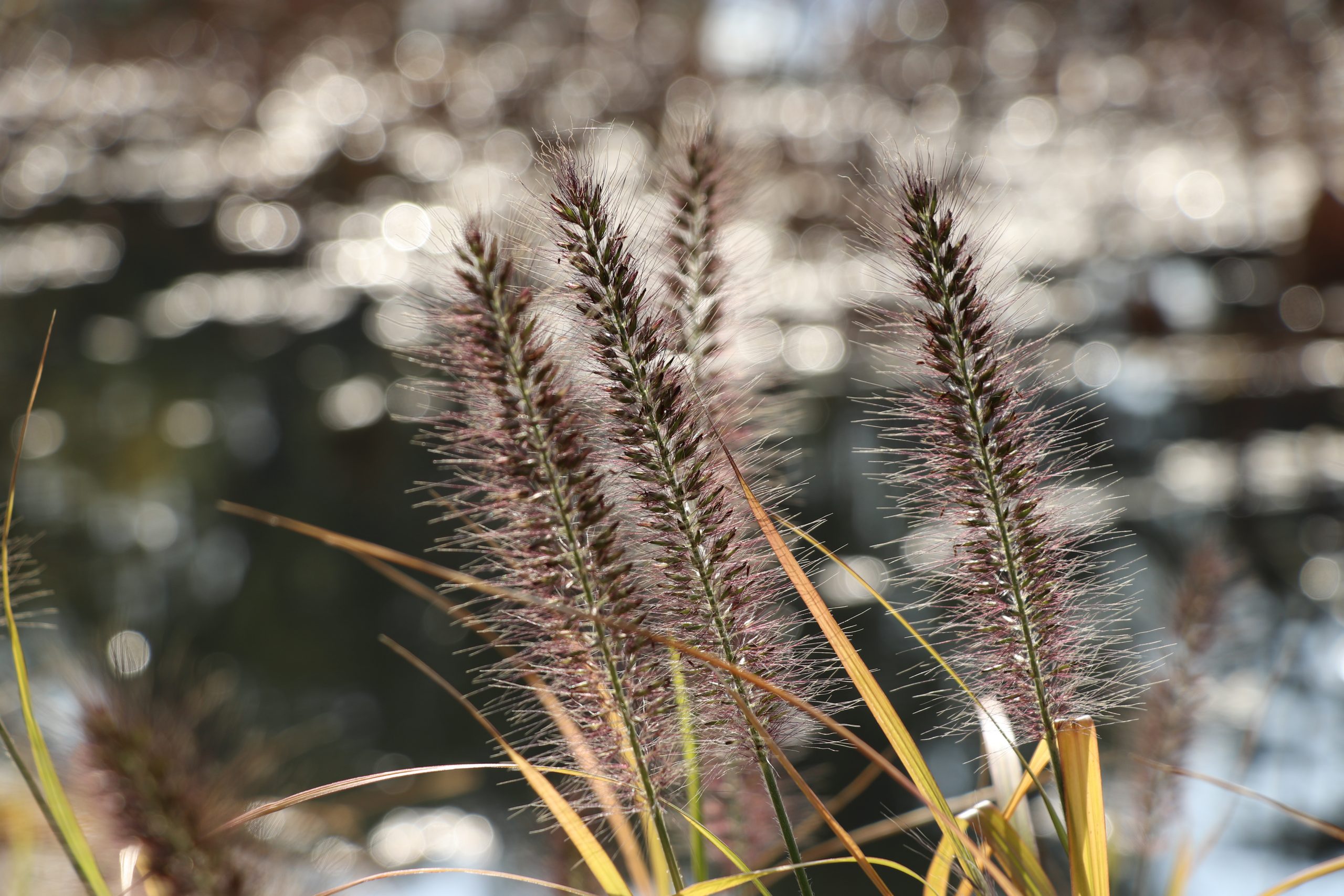 月度归档： <span>2022 年 8 月</span>