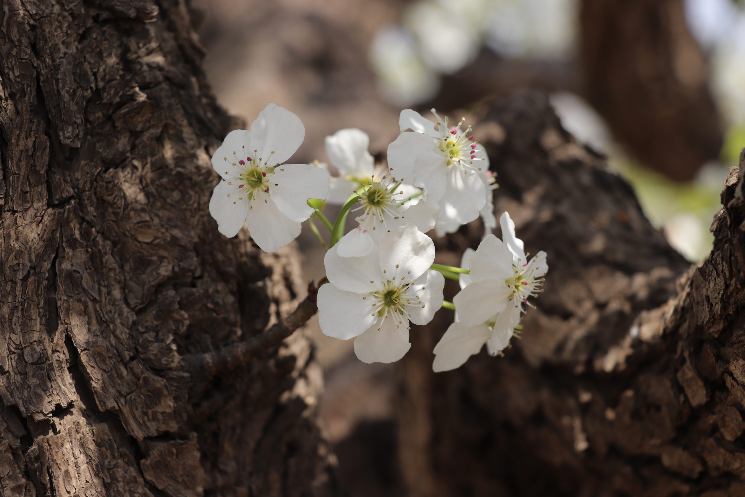 月度归档： <span>2022 年 7 月</span>